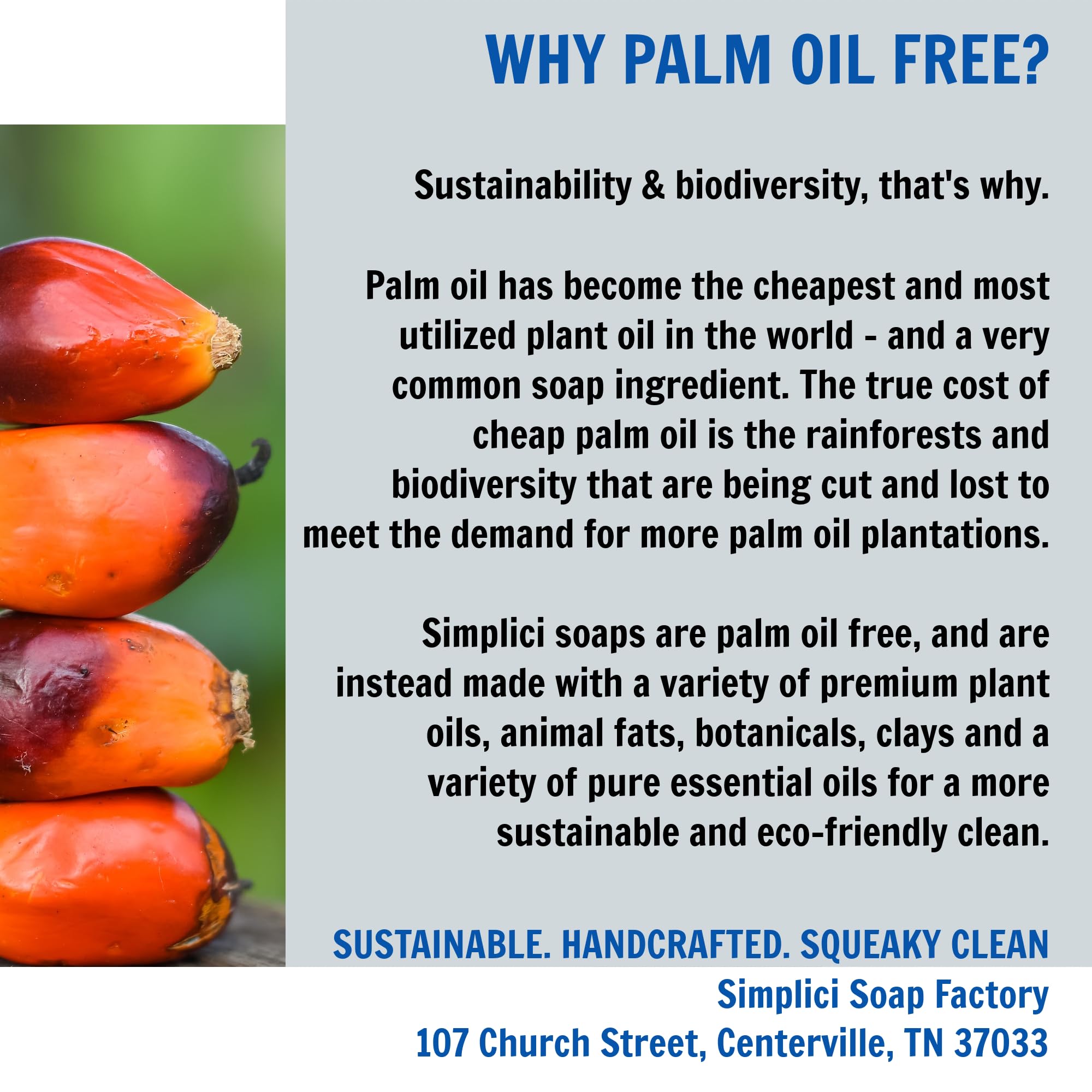 Simplici Frankincense- Natural Soap (exfoliating + pure essential oils) 6 Bar Value Bag. Palm Free